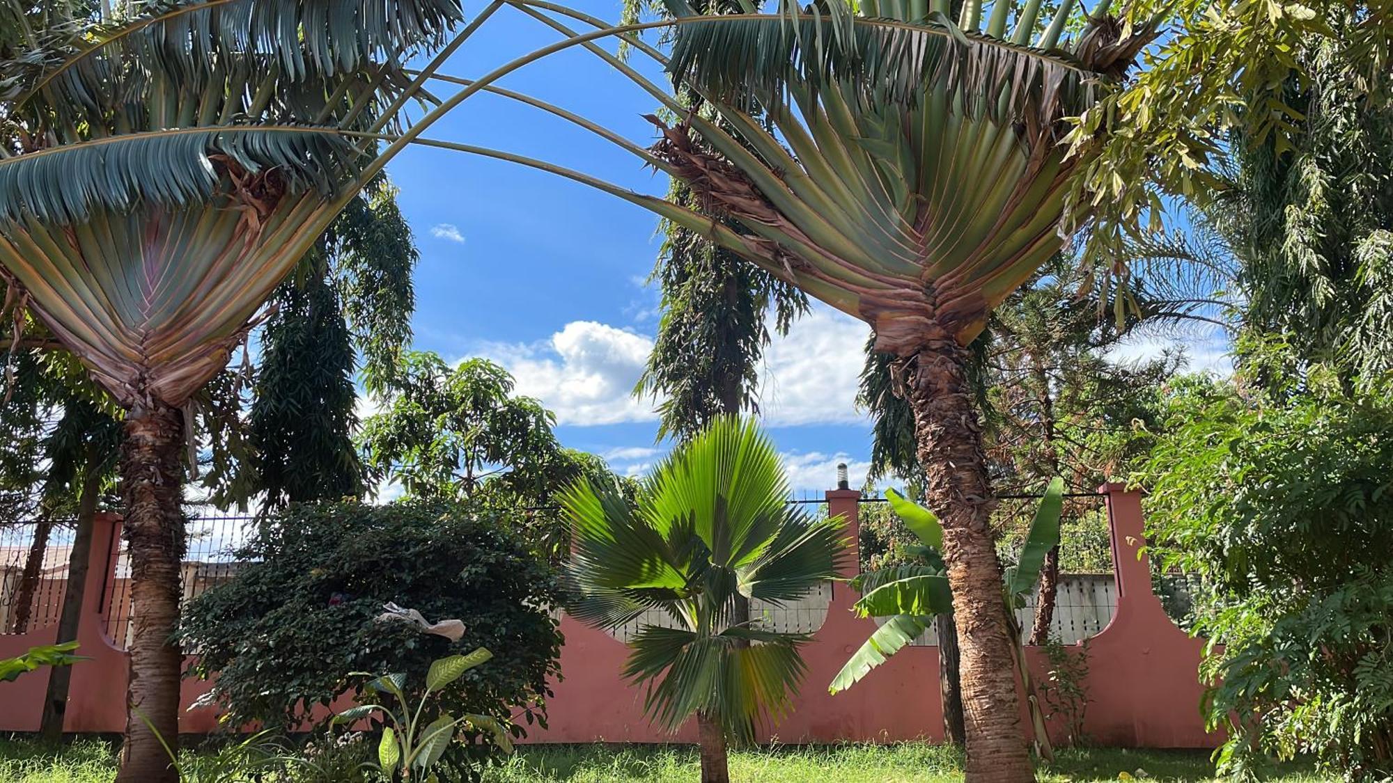Bungalow X Garten & Terrasse X Wlan X Europaeisch Moshi Esterno foto